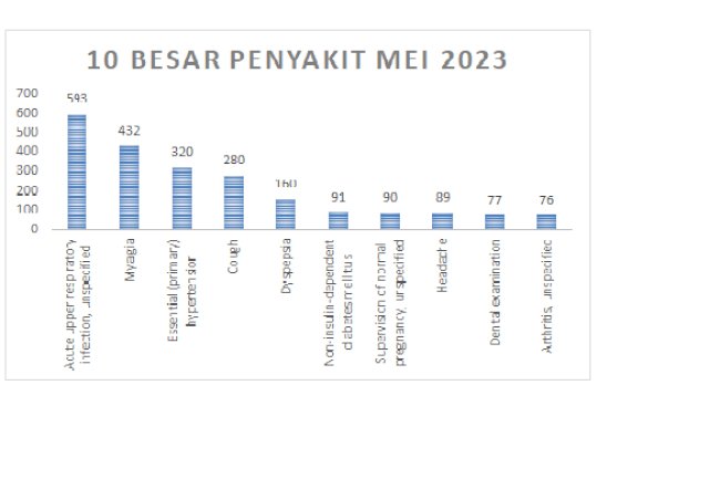 Ini 7 Orang yang Berpotensi Terkena ISPA , 10 Besar Penyakit Mei 2023