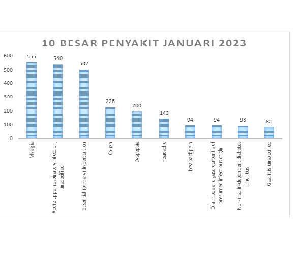 LAPORAN 10 BESAR PENYAKIT BULAN JANUARI 2023